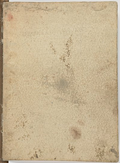 Kode på flukt av fugler, c. 1505-06, papirmanuskript, cc. 18, omslag I av Leonardo da Vinci