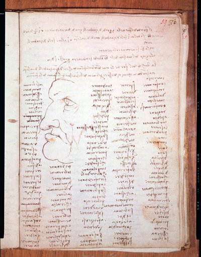 Codex Trivulziano av Leonardo da Vinci (Leonardo da Vinci) (1452 - 1519) - Trivulziana bibliotek, Milano av Leonardo da Vinci