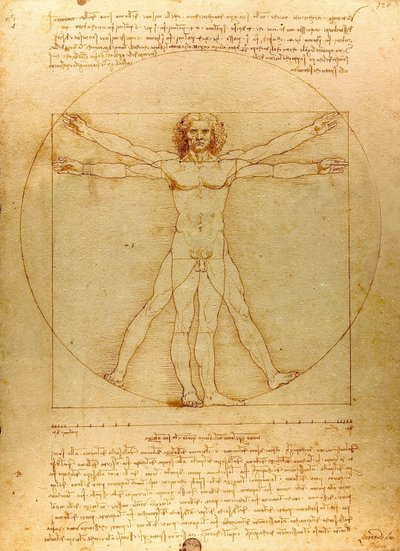  av Leonardo da Vinci