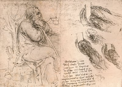 Tegning som illustrerer representasjonen av hår som faller ned i krøller, c1472-c1519 1883 av Leonardo da Vinci