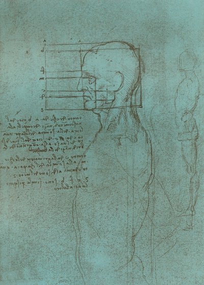 Tegning som illustrerer teorien om proporsjonene til den menneskelige figuren, c1472-c1519 1883. av Leonardo da Vinci