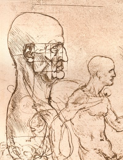 Tegning som illustrerer teorien om proporsjonene til den menneskelige figuren, c1472-c1519 1883 av Leonardo da Vinci