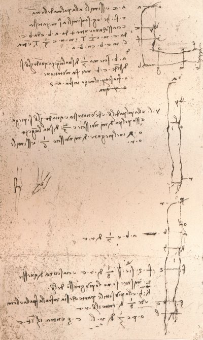 Tegning som illustrerer teorien om proporsjonene til den menneskelige figuren, c1472-c1519 1883 av Leonardo da Vinci
