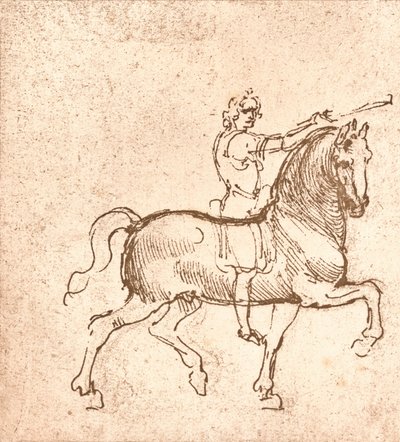 Tegning av en gåhest, c1472-c1519 1883 av Leonardo da Vinci