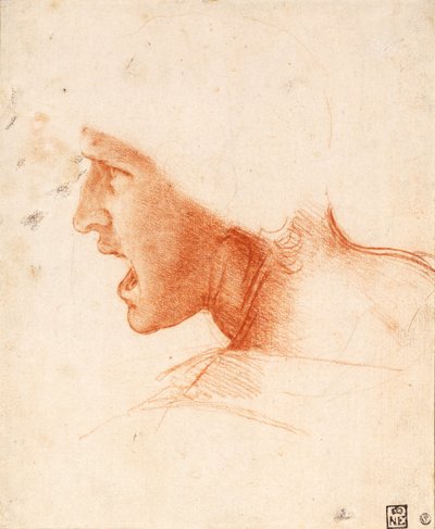  av Leonardo da Vinci