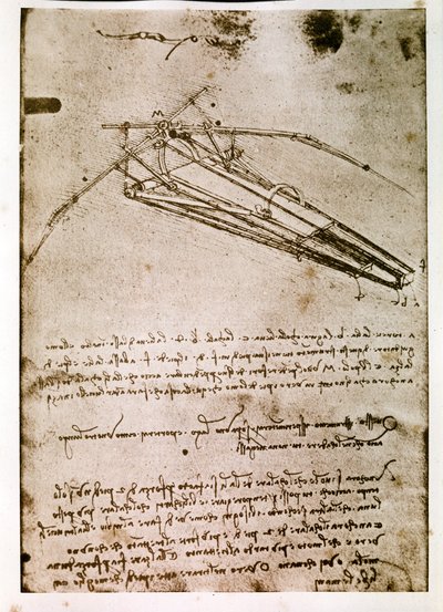  av Leonardo da Vinci