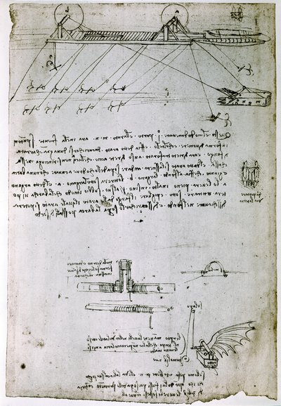  av Leonardo da Vinci