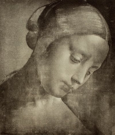 Feminint hode, tegning av Leonardo da Vinci. Cabinet of Drawings and Prints, Uffizi Gallery, Firenze av Leonardo da Vinci