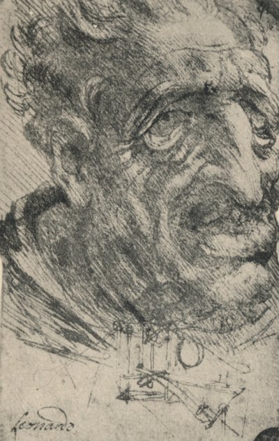 Groteskt hode til en mann vendt tre kvarter til høyre, c1480 1945 av Leonardo da Vinci