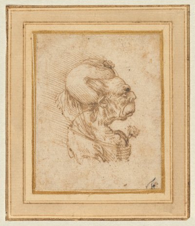 Et grotesk hode av en gammel kvinne av Leonardo da Vinci