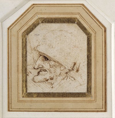 Groteskt hode (penn og blekk på papir) av Leonardo da Vinci
