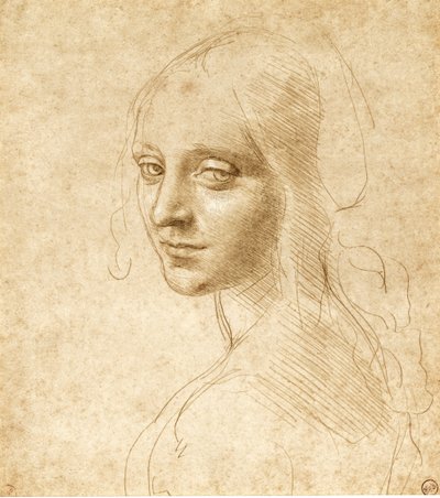 Hode og skuldre til en jente, ca. 1490. av Leonardo da Vinci