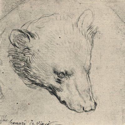 Head of a Bear, c1480 1945 av Leonardo da Vinci