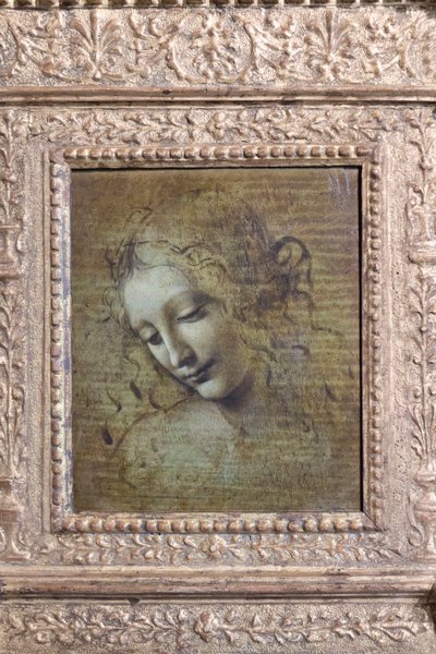 Kvinnehode, kalt «la scapigliata», ca. 1492–1501 (olje på panel) av Leonardo da Vinci