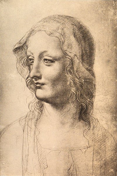 Leder for en ung kvinne, tegning av Leonardo da Vinci, Cabinet of Drawings and Prints, Uffizi, Firenze av Leonardo da Vinci