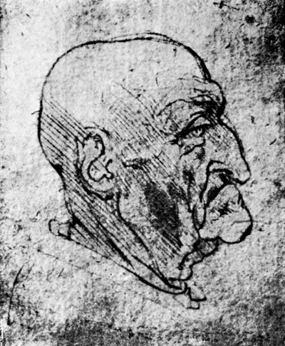 Leder for en gammel mann, 1913 av Leonardo da Vinci