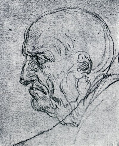 Leder for en gammel mann, 1913 av Leonardo da Vinci