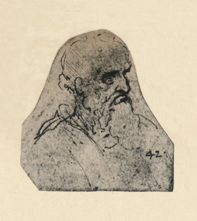Hodet til en gammel mann vendt til høyre, c1480 1945 av Leonardo da Vinci