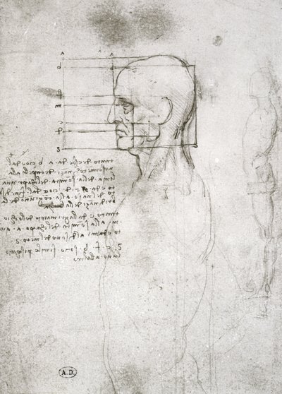 Leder for en gammel mann i profil, faksimilekopi (penn og blekk på papir) av Leonardo da Vinci