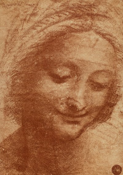 Leder av kvinnen eller av SantaAnna, tegning av Leonardo da Vinci, studere for lederen av Sant Annas maleri Madonna med barn og Sant Anna nå i Louvre. Designet er plassert i Gallerie dellA av Leonardo da Vinci
