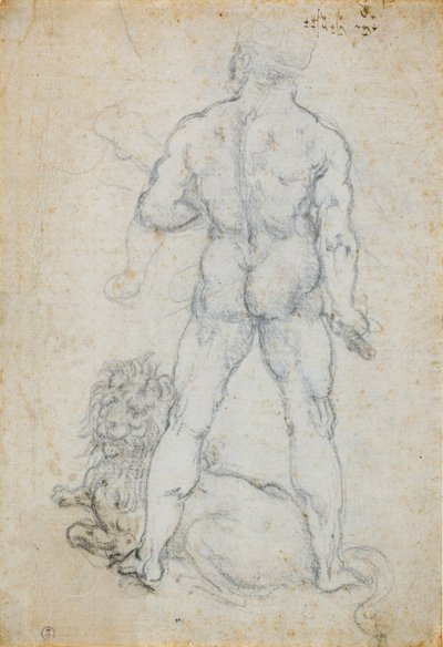Hercules og Nemean-løven, ca. 1506-08 (kull- og metallspiss på hvitt papir) av Leonardo da Vinci