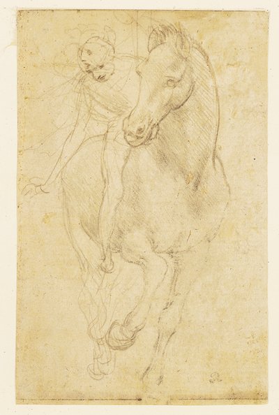 Hest og rytter, ca. 1480 (sølvpunkt på forberedt papir) av Leonardo da Vinci