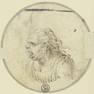  av Leonardo da Vinci