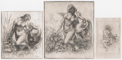 Leda og svanen, c1504-1506 av Leonardo da Vinci