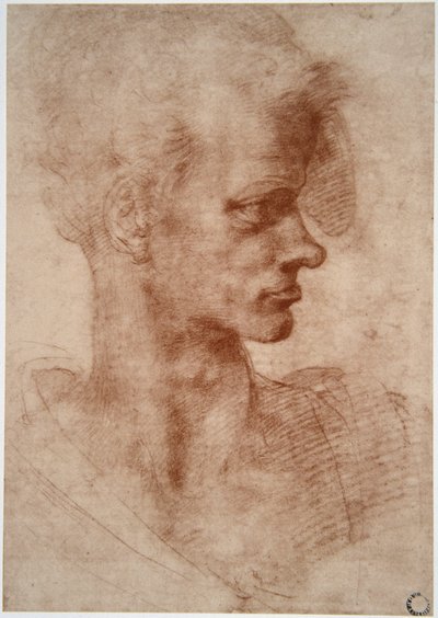 Leonardo da Vinci (Leonardo da Vinci) (1452 - 1519): Karikaturportrett av en ung mann (Imagine) av Leonardo da Vinci