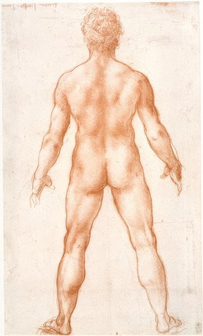 Naken mann bakfra av Leonardo da Vinci