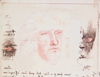 Merknader om retningsendringene under flukt, manuskriptside fra Codici Rari III 35.2, fol. 10v fra Treatise on the Flight of Birds, 1505 (penn og blekk på papir) av Leonardo da Vinci