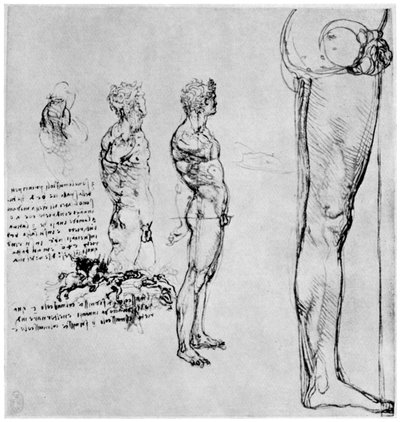 Nakenstudier for slaget ved Anghiari, c1503-1505 1954 av Leonardo da Vinci