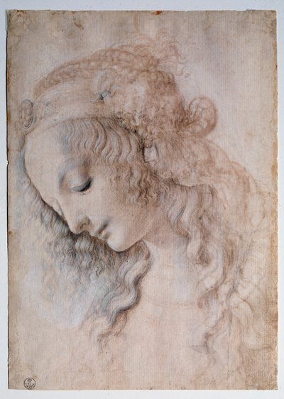 Portrett av jente - tegning av Leonardo da Vinci