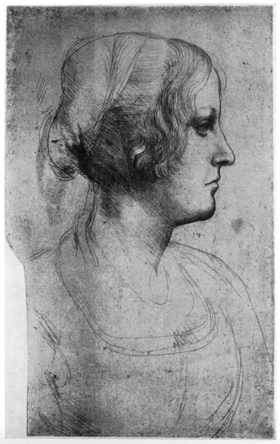 Portrettstudie av et ungt jentehode, 1400-tallet 1954. av Leonardo da Vinci