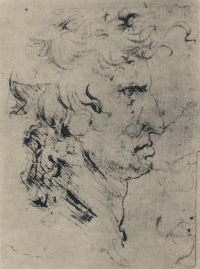 Profil av en mann til høyre, c1480 1945 av Leonardo da Vinci