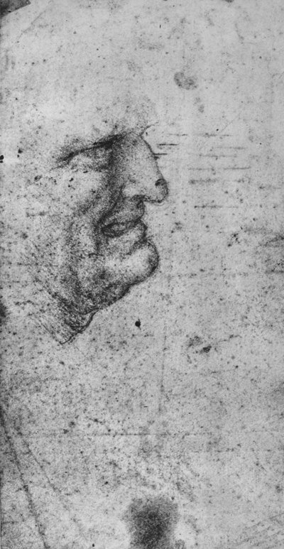 Profil av en mann med sammenbitte tenner, c1480 1945 av Leonardo da Vinci