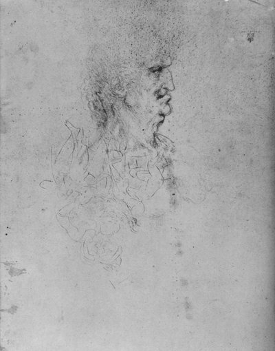 Profil til høyre for en gammel mann, c1480 1945 av Leonardo da Vinci
