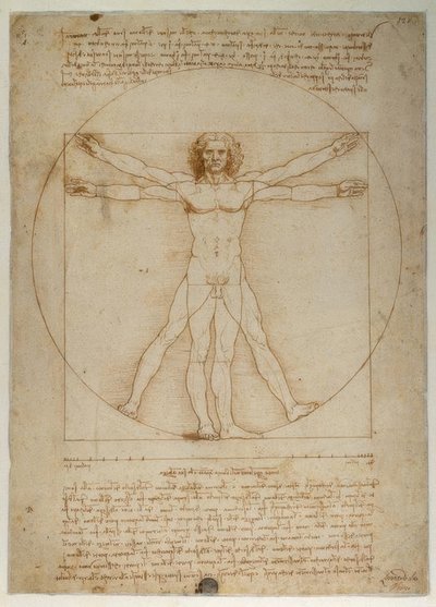 Skjema av proporsjoner av den menneskelige figuren ifølge Vitruvius av Leonardo da Vinci