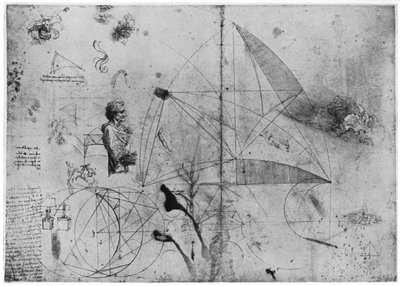 Studieark, slutten av 1400- eller begynnelsen av 1500-tallet 1954. av Leonardo da Vinci
