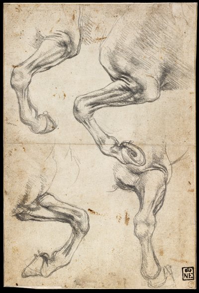  av Leonardo da Vinci