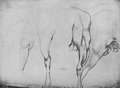 Studies of Horses Legs, c1480 1945 av Leonardo da Vinci
