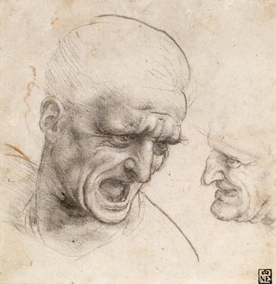  av Leonardo da Vinci