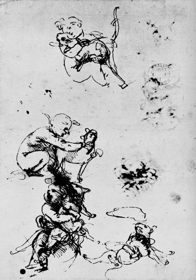 Studie av et barn med en katt, 1478-1481 1945 av Leonardo da Vinci