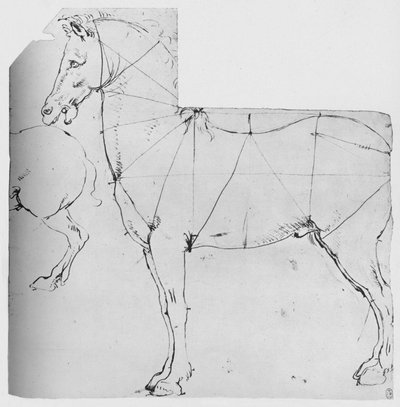Studie av en hest merket ut for måling, c1480 1945 av Leonardo da Vinci