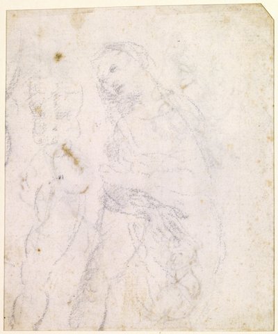  av Leonardo da Vinci