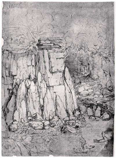 Studie av en steinete hule med ender, 1482-1485 1954 av Leonardo da Vinci
