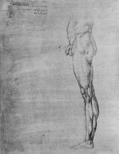 Studie av kroppen og benet til en mann, c1480 1945 av Leonardo da Vinci