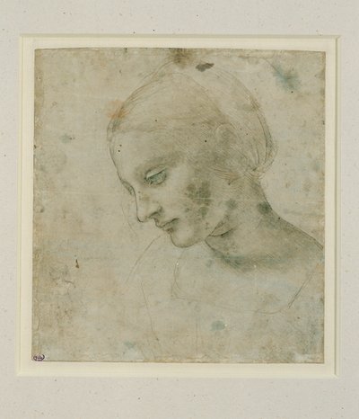  av Leonardo da Vinci