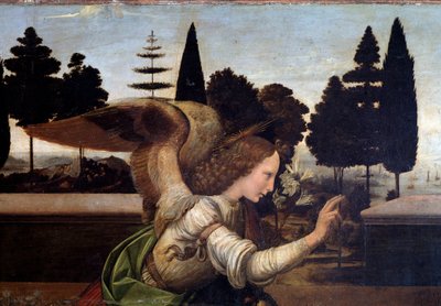 Bebudelsen, detalj av engelen - olje på tre av Leonardo da Vinci