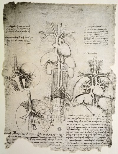 The Heart and the Circulation, faksimile av Windsor-boken (penn og blekk på papir) av Leonardo da Vinci